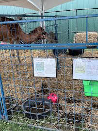 Barnyard Party Pals- Live Animal Shows & Petting Zoos and Pony Rides