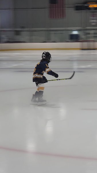 Loring Ice Arena photo 3