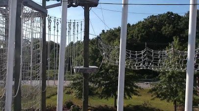 Take Flight Aerial Adventure Course photo 2