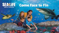 SEA LIFE at Mall of America photo 5