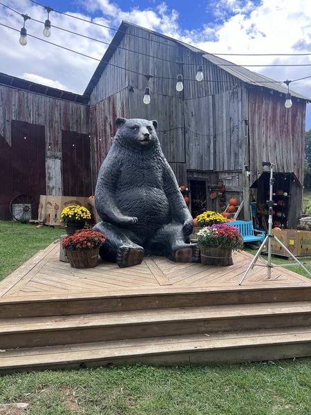 Paradise Acres photo 5