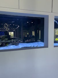Boca Aquarium photo 2
