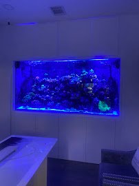 Boca Aquarium photo 3