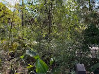 Sun Bear Canyon photo 3