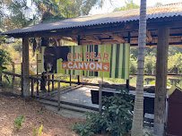 Sun Bear Canyon photo 4