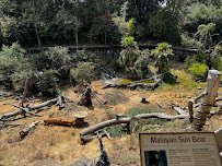 Sun Bear Canyon photo 5