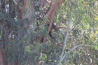 Sun Bear Canyon photo 6