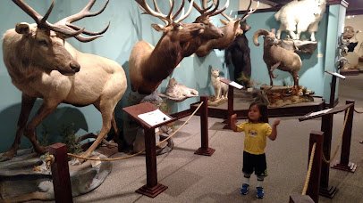 The Children’s Museum of Northeast Montana