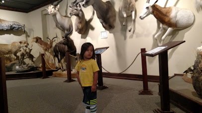 The Children’s Museum of Northeast Montana photo 2