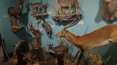 The Children’s Museum of Northeast Montana photo 6