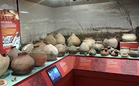 Imperial Valley Desert Museum photo 3