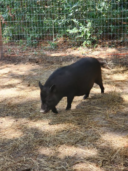Grace Adventure Park photo 4