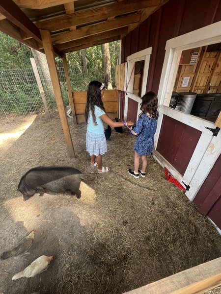 Grace Adventure Park photo 5