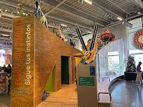 La Nube STEAM Discovery Center photo 6