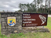 Welaka National Fish Hatchery - Aquarium