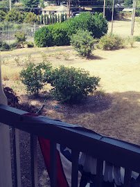 Rose Farm Museum photo 6