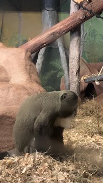 Capron Park Zoo photo 2