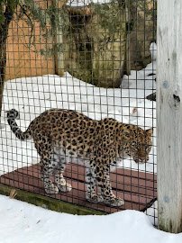 Capron Park Zoo photo 3