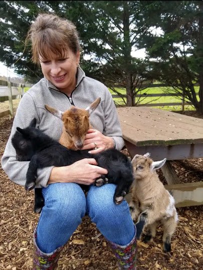 Peaks of Otter Farm photo 3
