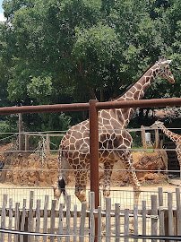 Zoo Atlanta Member Services Office photo 3