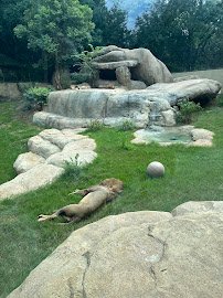 Zoo Atlanta Member Services Office photo 4
