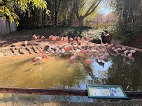 Zoo Atlanta Member Services Office photo 5