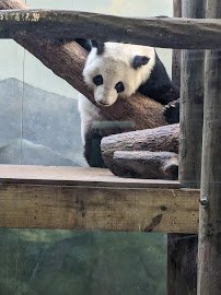 Zoo Atlanta Member Services Office photo 6