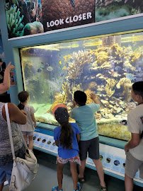 St. Lucie County Aquarium photo 3