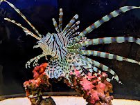 St. Lucie County Aquarium photo 4