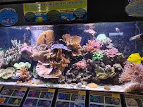 St. Lucie County Aquarium photo 5