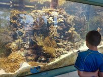 St. Lucie County Aquarium photo 6
