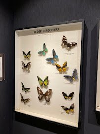 Entomology Museum photo 5