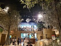 Creation Zoo photo 3