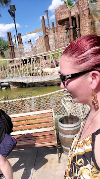 Pirate's Cove Adventure Golf photo 2
