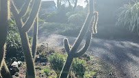 Mendocino Coast Botanical Gardens photo 2