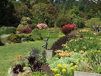 Mendocino Coast Botanical Gardens photo 3