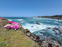 Mendocino Coast Botanical Gardens photo 5