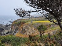 Mendocino Coast Botanical Gardens photo 6