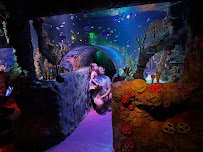 SEA LIFE San Antonio photo 3
