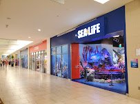 SEA LIFE San Antonio photo 5