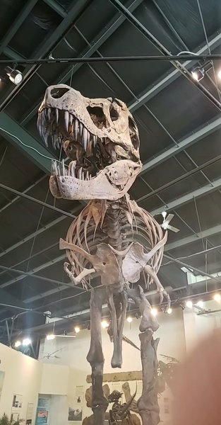 Rocky Mountain Dinosaur Resource Center photo 2