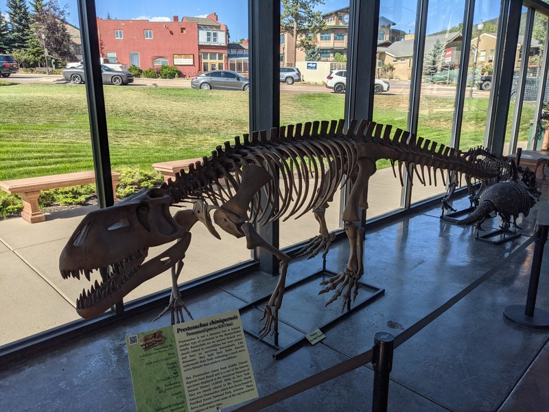 Rocky Mountain Dinosaur Resource Center photo 4