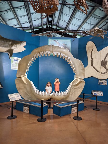 Rocky Mountain Dinosaur Resource Center photo 5