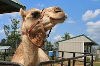 Leesburg Animal Park photo 4