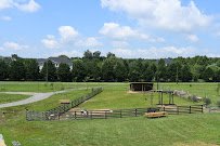Leesburg Animal Park photo 5