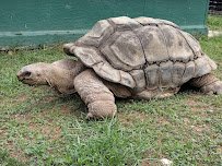 Leesburg Animal Park photo 6