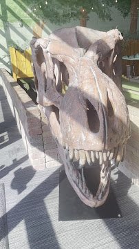 Prehistoric Putt Omaha photo 2