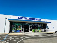 Exotic Aquarium