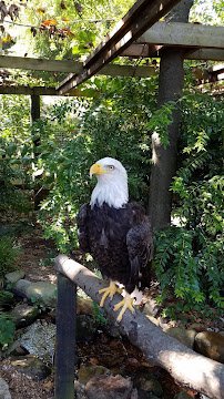 Kids Playground at Zoo Atlanta photo 4