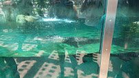 Kids Playground at Zoo Atlanta photo 5